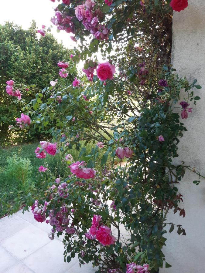 Maison De Famille Entre Vigne Et Lavande Verfeuil Εξωτερικό φωτογραφία